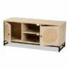 Ardon Bohemian Wood and Metal 2 Door Natural Rattan TV Stand for TVs up to 40" Light Brown/Black - Baxton Studio 1 Ardon Bohemian Wood and Metal 2 Door Natural Rattan TV Stand for TVs up to 40" Light Brown/Black - Baxton Studio -Cheap TV Stands Store unnamed file 6253